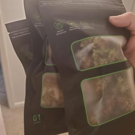 White Crystal Auto Canuk Seeds