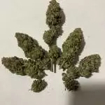 HigherFire Blue Sherbet 