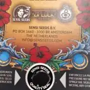 Sensi Seeds