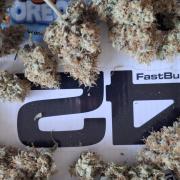 Fastbuds Mendo Guava by Paul_on.