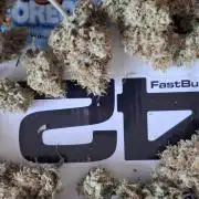 Fastbuds Mendo Guava by Paul_on.