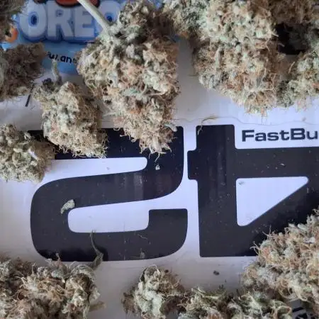 Fastbuds Mendo Guava by Paul_on.