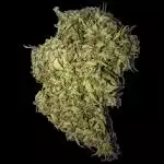 Moon fruit auto