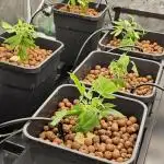 London pound cake x jealousy x zowahh