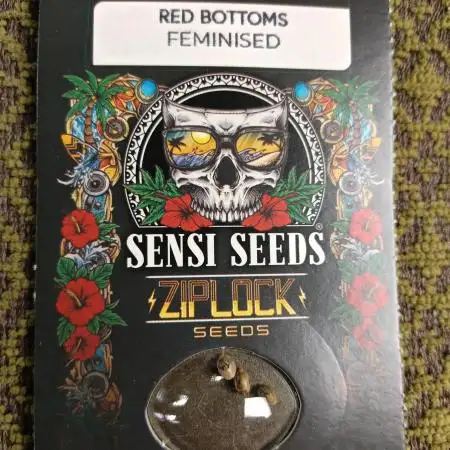 OUT26/NEW/ RED BOTTOMS- Sensi Seeds