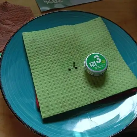 Permanent Bluez -Biotabs - Autopot