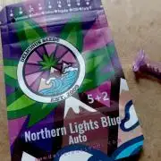 Delicious Blue Northern Light