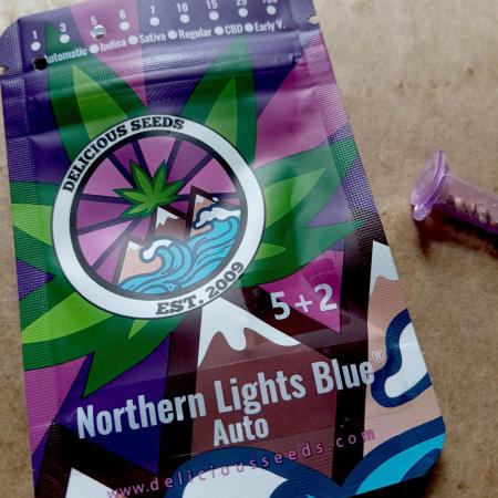 Delicious Blue Northern Light