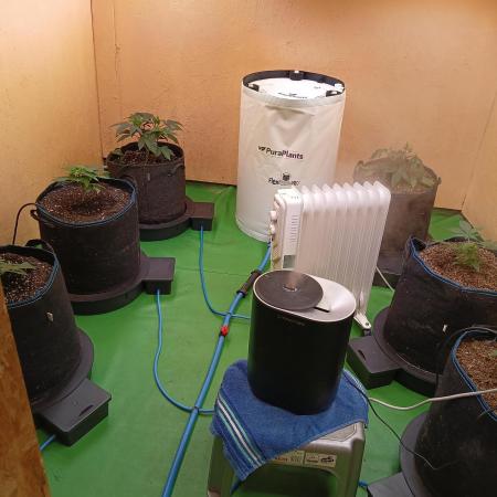 Autopot+Biotabs vs. Photoperiods #2026/1