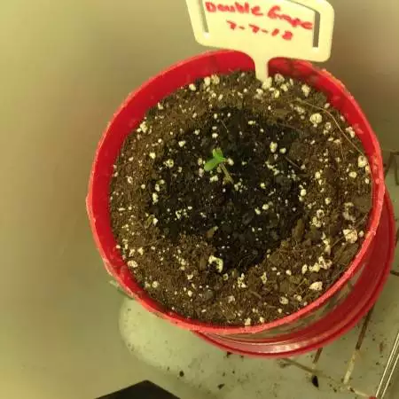 SpaceBucket 