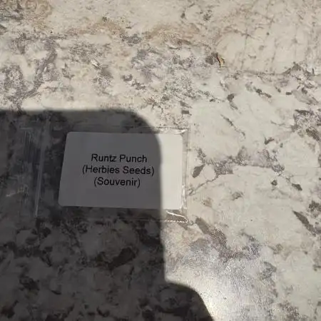 Runtz punch