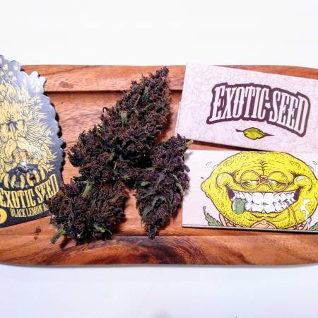 Black Lemon Auto - Exotic Seed