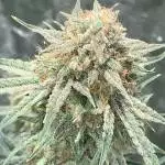 wedding cake autos 