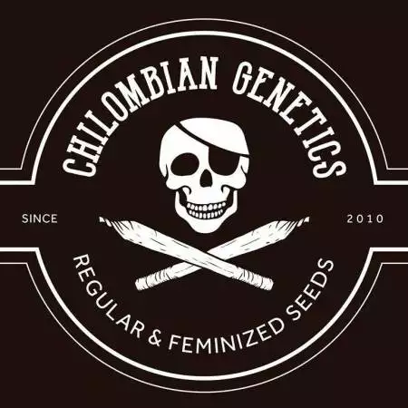 Microgrow JapanPCK Chilombian Genetics