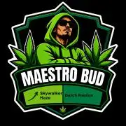 Skywalker Haze Dutch Passion