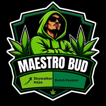 Skywalker Haze Dutch Passion