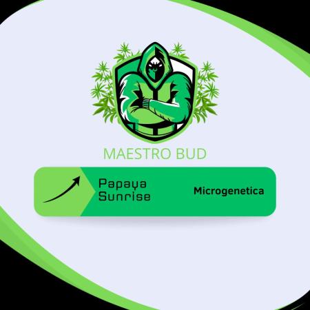 Papaya Sunrise - Microgenetica
