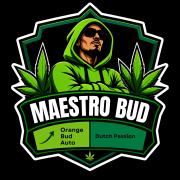 Orange Bud Auto - Dutch Passion