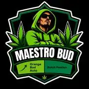 Orange Bud Auto - Dutch Passion