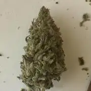 Mega grow