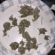 2nd cheese auto