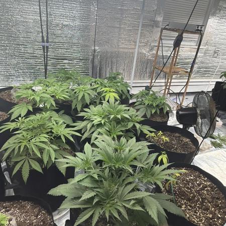 Winter grow