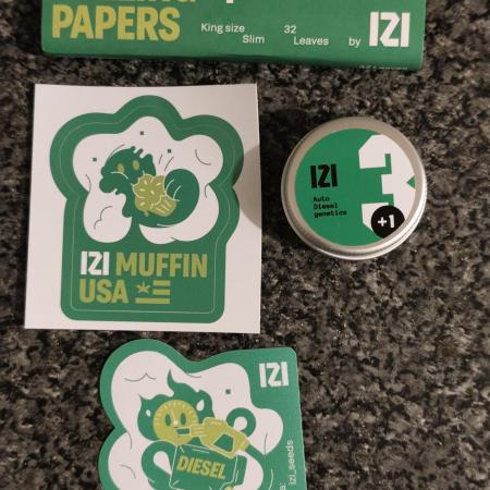 IZI Seeds Grow Report Contest 2025