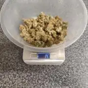 Original sensible seeds
