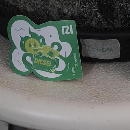 IZI Seeds Grow Report Contest 2025