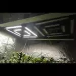 Ethos - Grape Diamonds - 