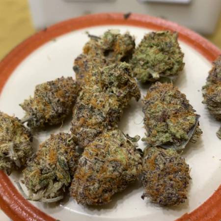 BBC x Purple Punch