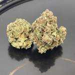 Strawberry pie fast buds 
