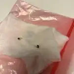 Blue Dream / Kosher Kush