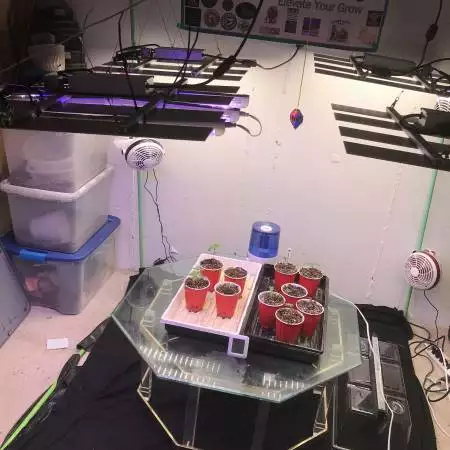 Roswell Gardens 5x5 Area 3 Open Grow
