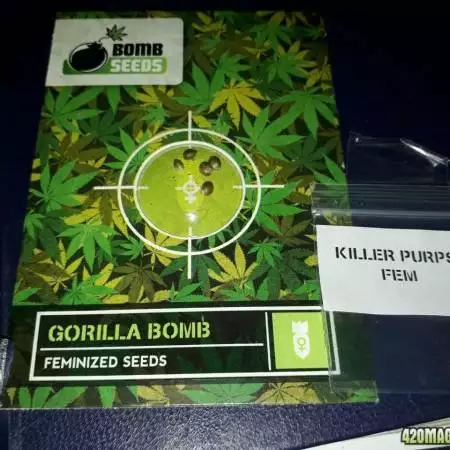 Gorilla Bomb