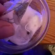 Eternity 2026 Sticky Broccoli