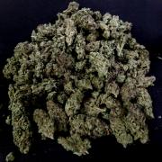 Biscotti Gelato (GDG 24 #1)