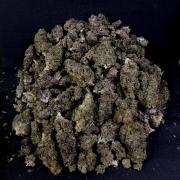 Gelato (GDG24 #2)