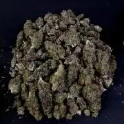 Gelato (GDG24 #2)