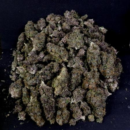 Gelato (GDG24 #2)