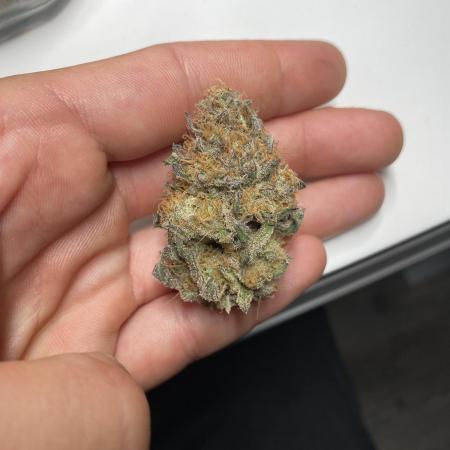 Nose candi & zerberry