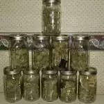 White Widow 