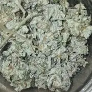 Grow #2