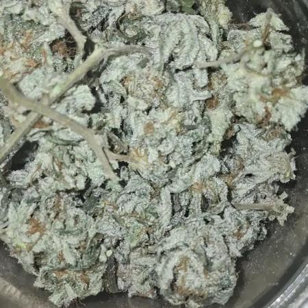 Grow #2