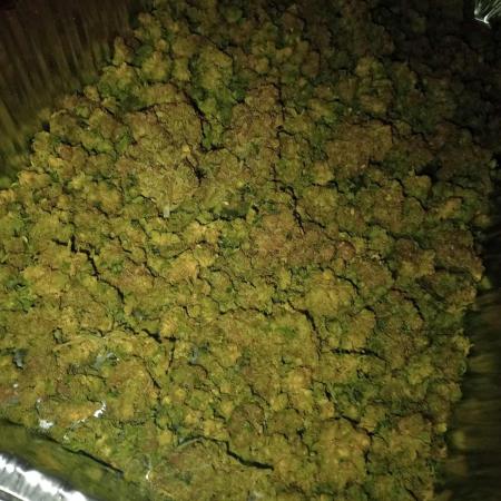Runtz ~ Zamnesia ~ DWC 9
