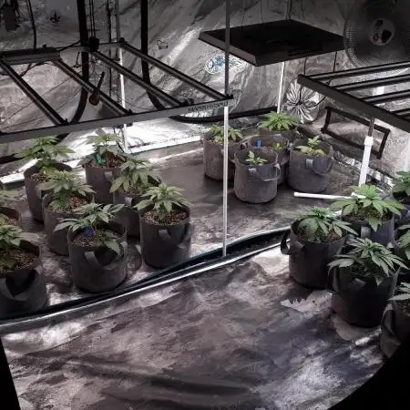 8X8 MANSION (22 PLANT GROW)