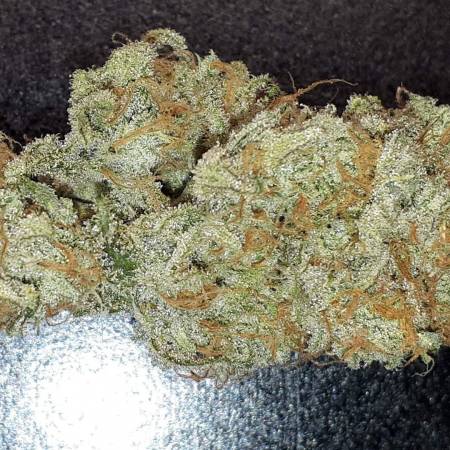 ORIGINAL SENSIBLE SEEDS (NEW STRAINS)