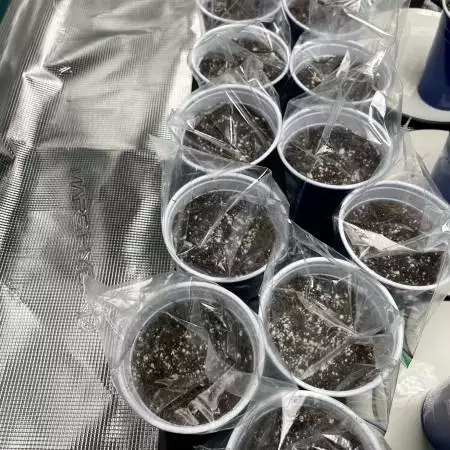 1st Gro’ Round (From Seed)