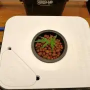 Small Undercurrent Test