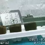anythingfromtheshop1
